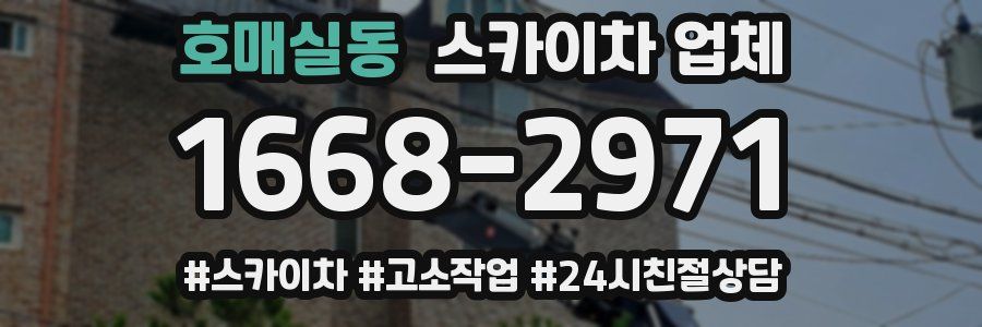 호매실동 스카이차 업체