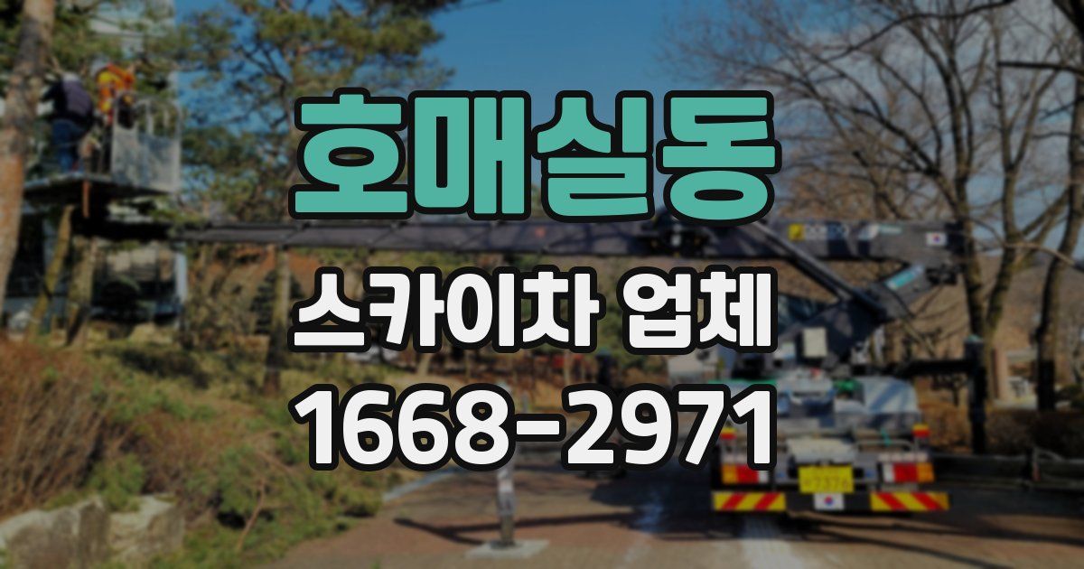 호매실동 스카이차 업체