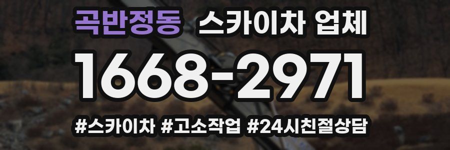 곡반정동 스카이차 업체