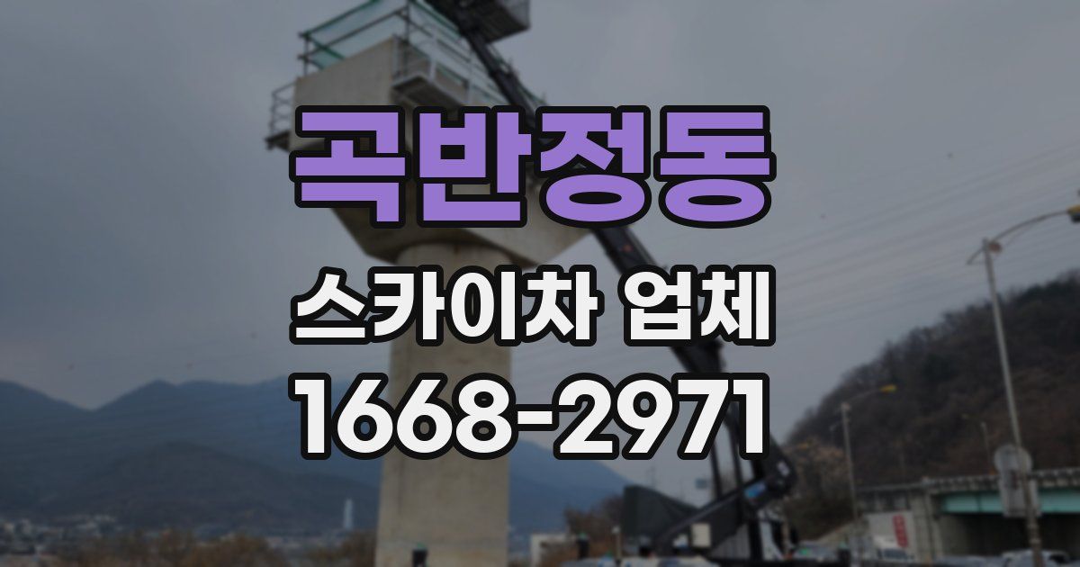 곡반정동 스카이차 업체