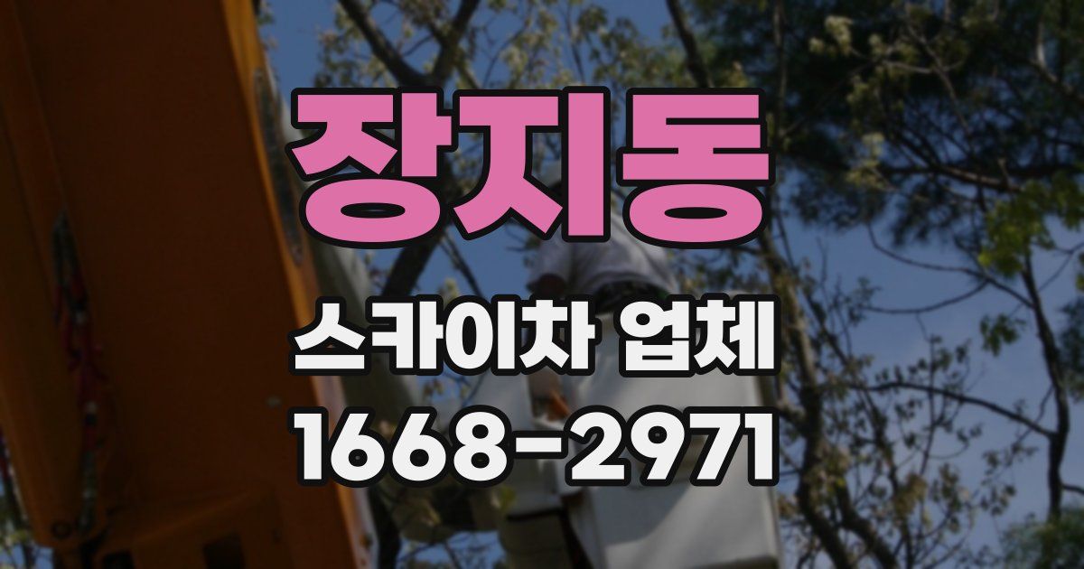 장지동 스카이차 업체