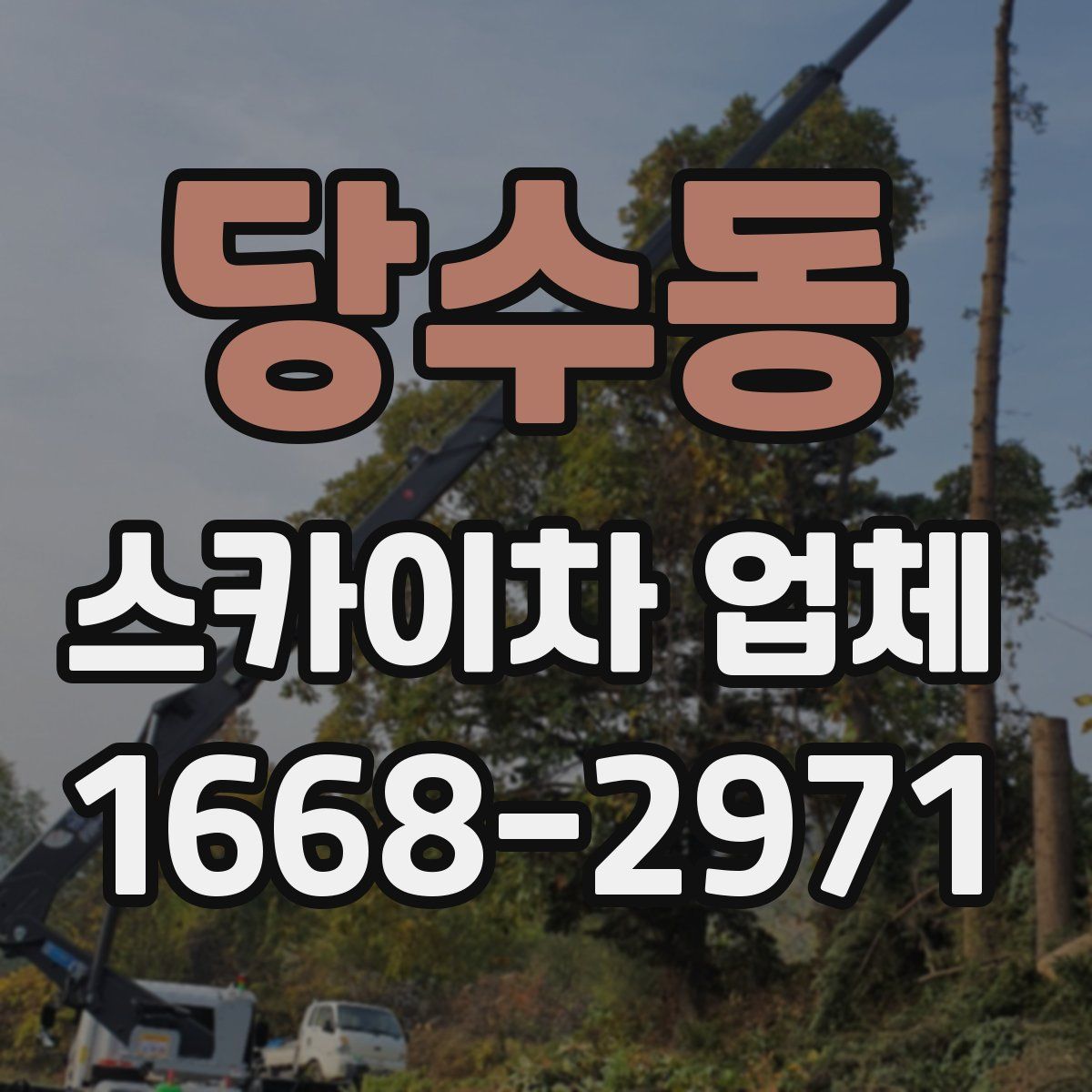 당수동 스카이차 업체