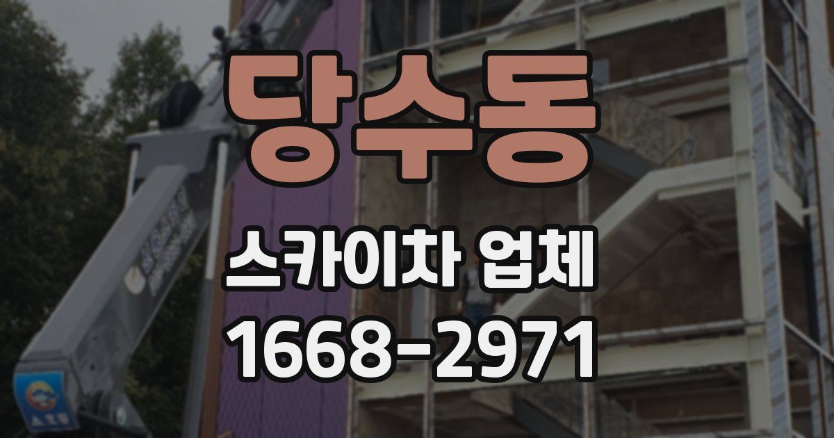 당수동 스카이차 업체