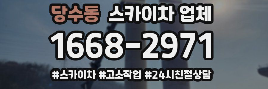 당수동 스카이차 업체