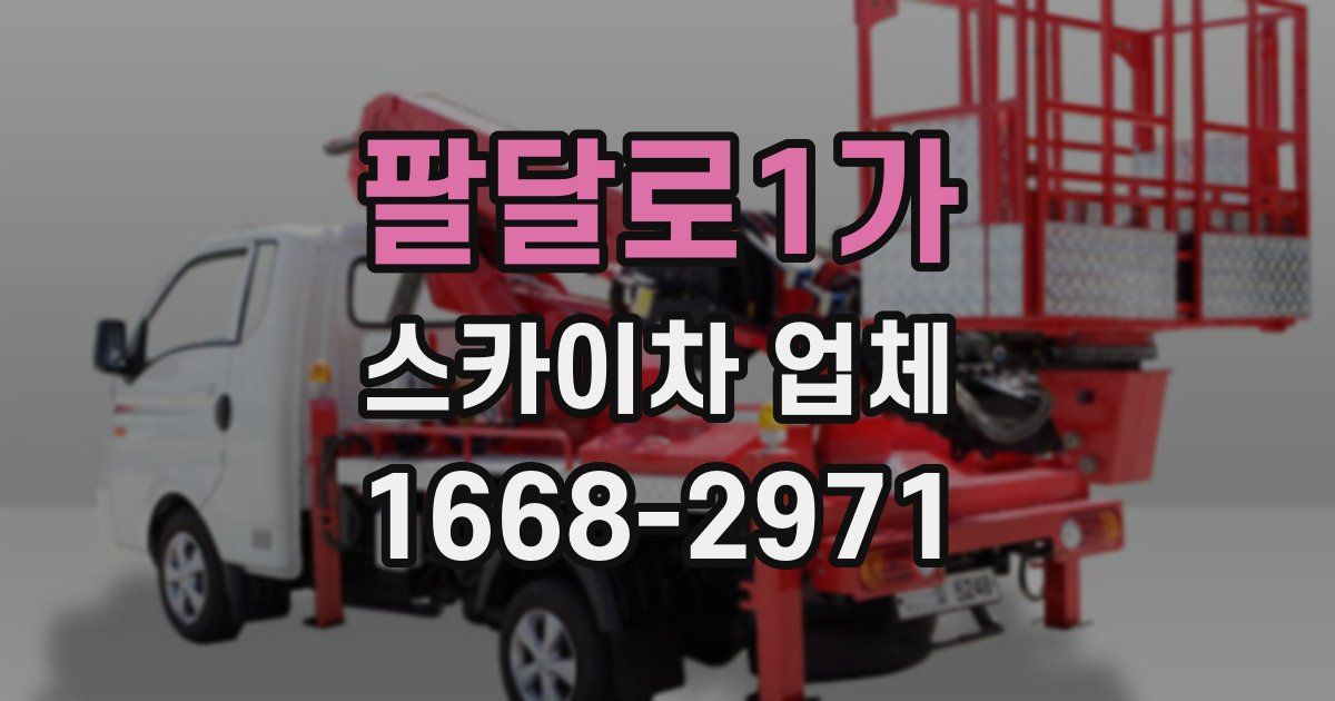 팔달로1가 스카이차 업체
