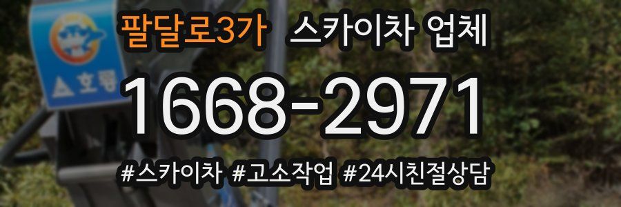 팔달로3가 스카이차 업체