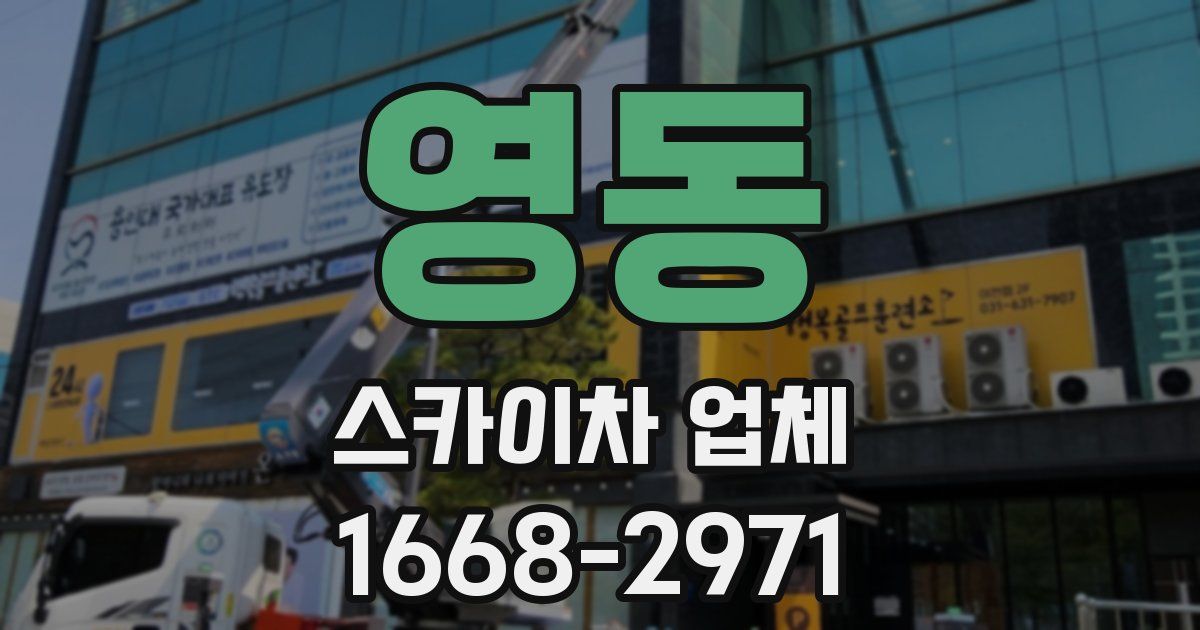 영동 스카이차 업체