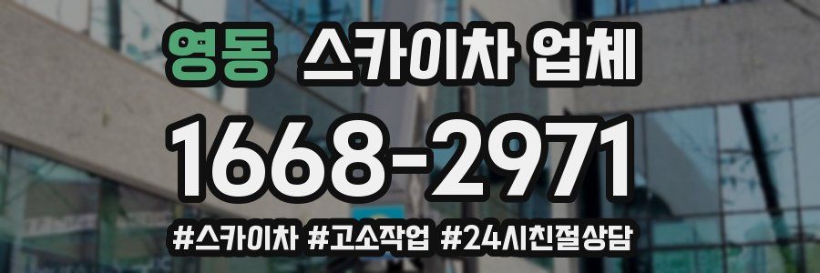 영동 스카이차 업체