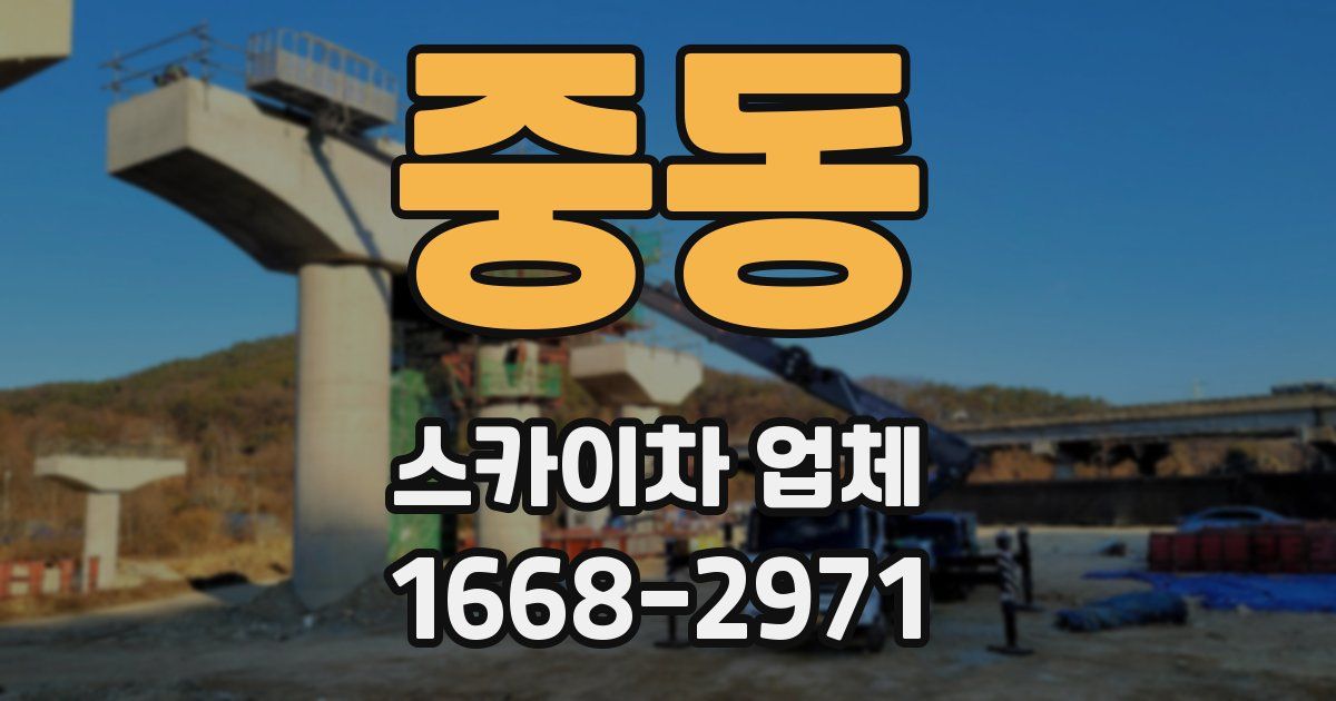 중동 스카이차 업체