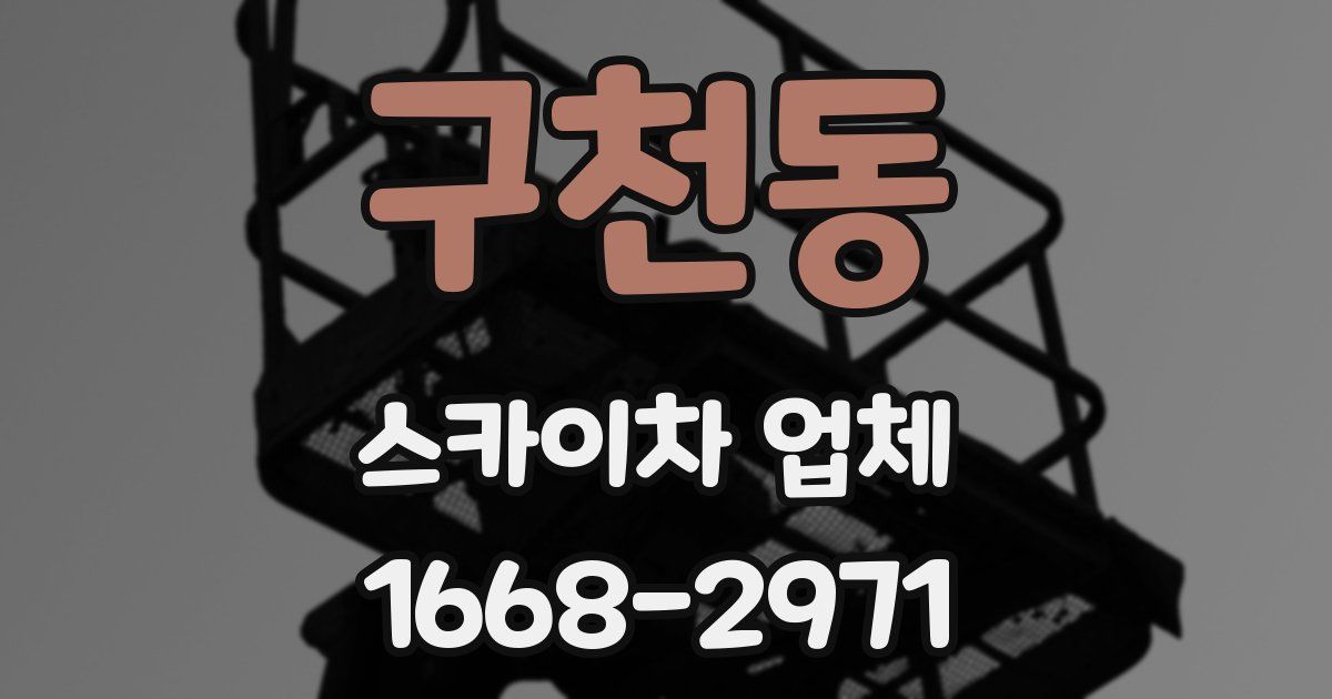 구천동 스카이차 업체