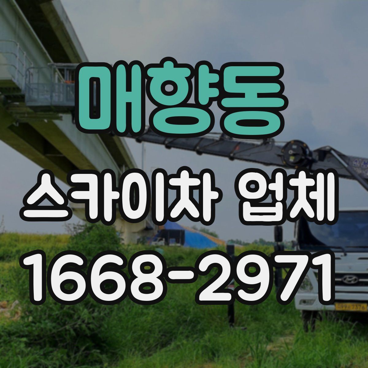 매향동 스카이차 업체