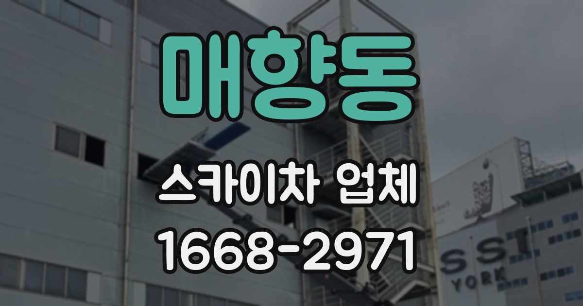 매향동 스카이차 업체