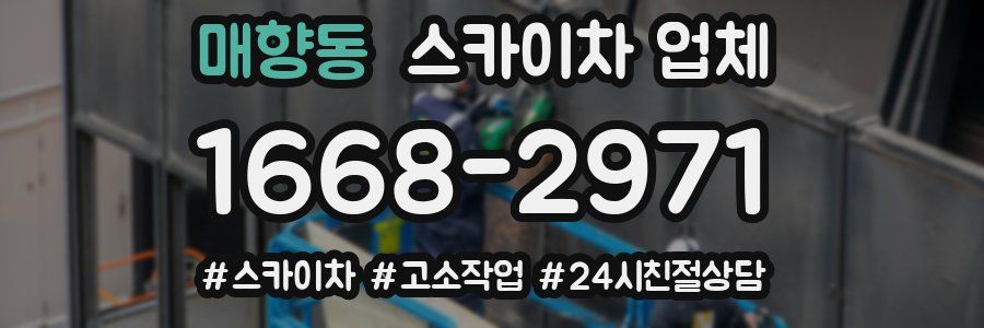 매향동 스카이차 업체