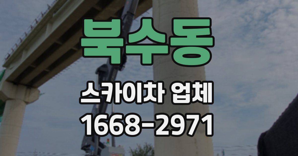 북수동 스카이차 업체