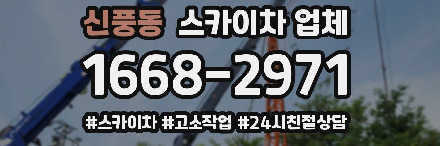 신풍동 스카이차 업체