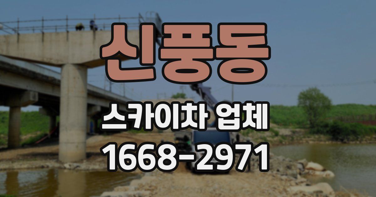 신풍동 스카이차 업체