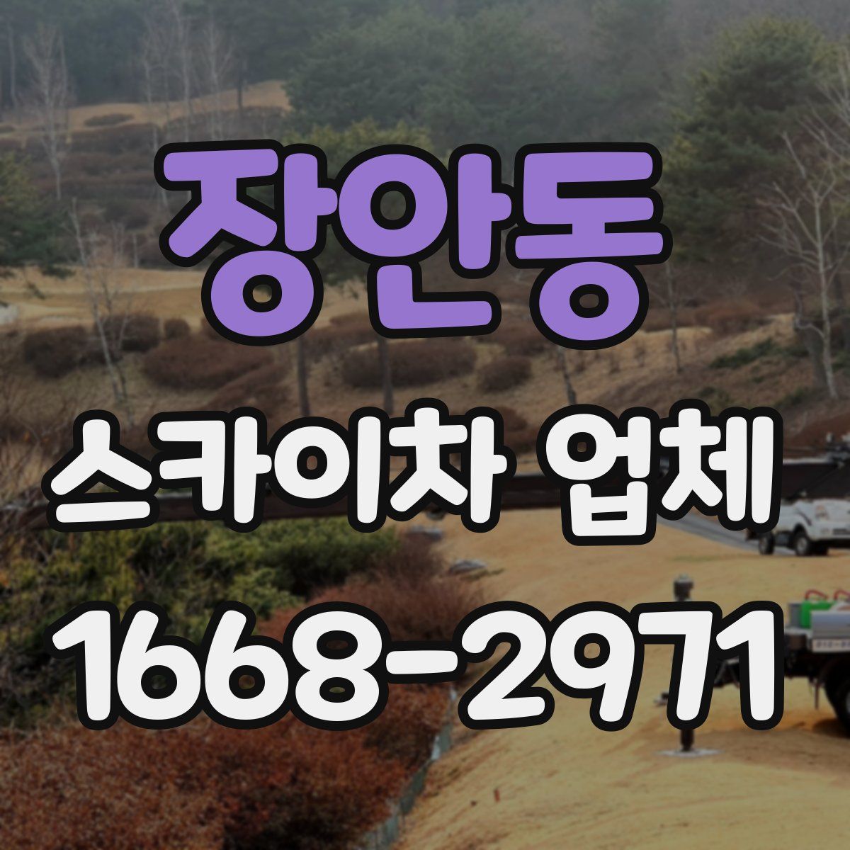 장안동 스카이차 업체