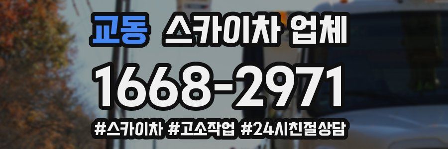 교동 스카이차 업체
