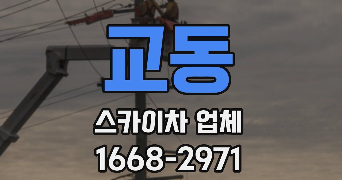 교동 스카이차 업체