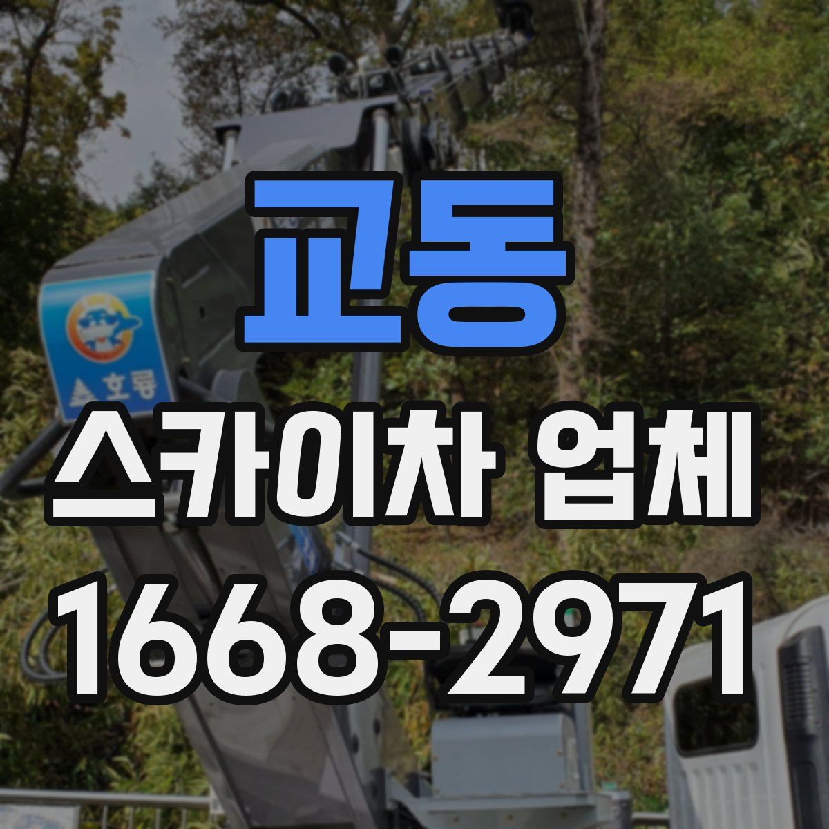교동 스카이차 업체