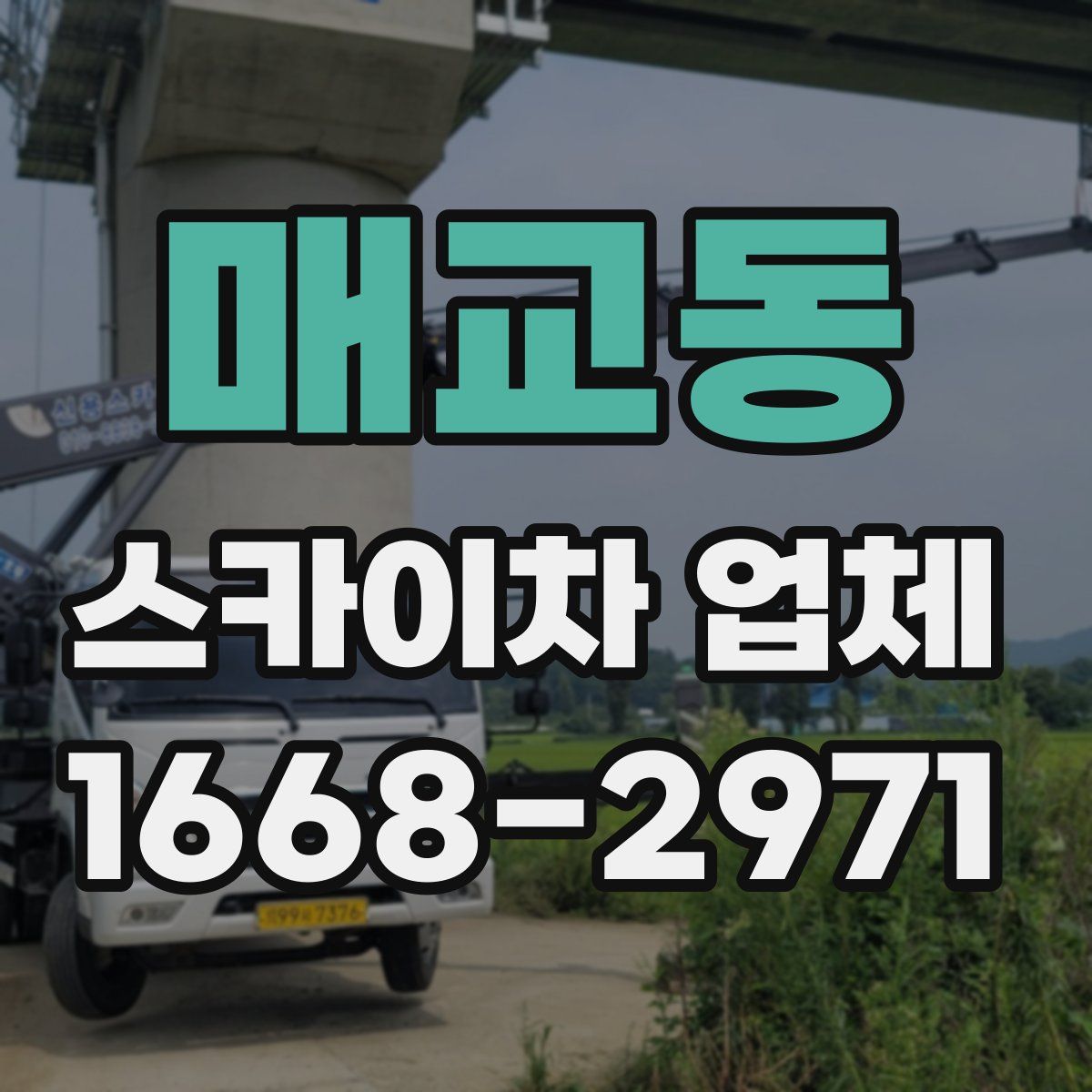 매교동 스카이차 업체