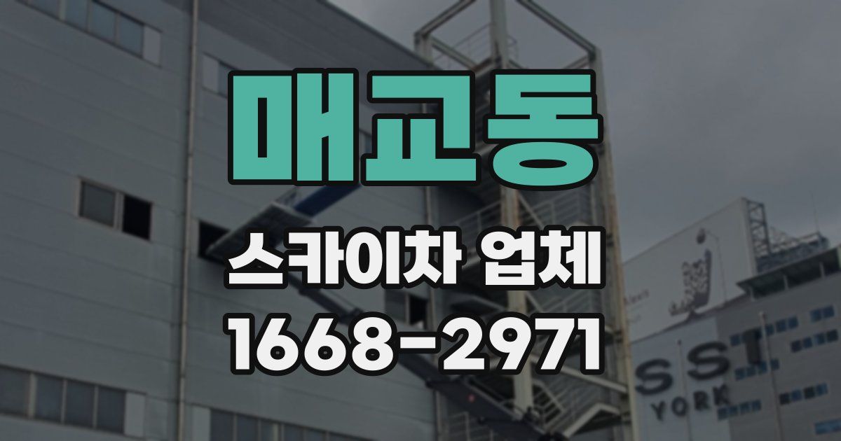 매교동 스카이차 업체