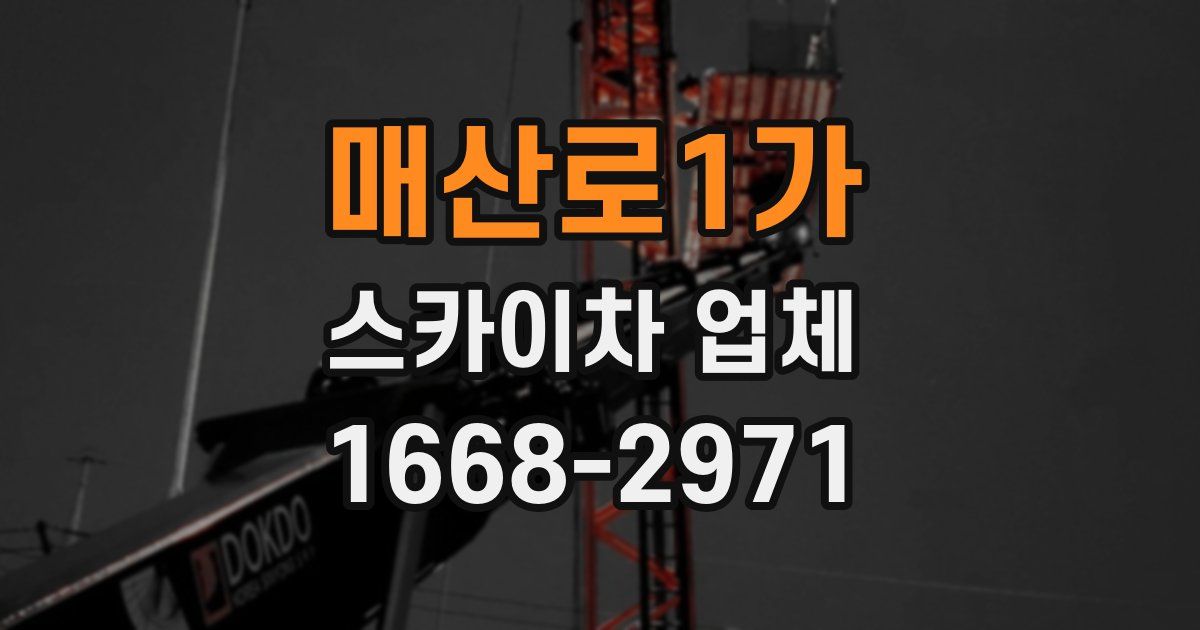 매산로1가 스카이차 업체