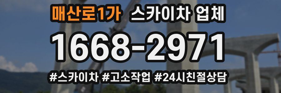 매산로1가 스카이차 업체