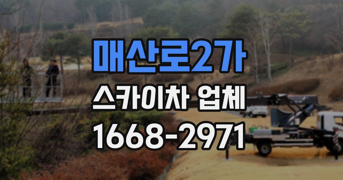 매산로2가 스카이차 업체