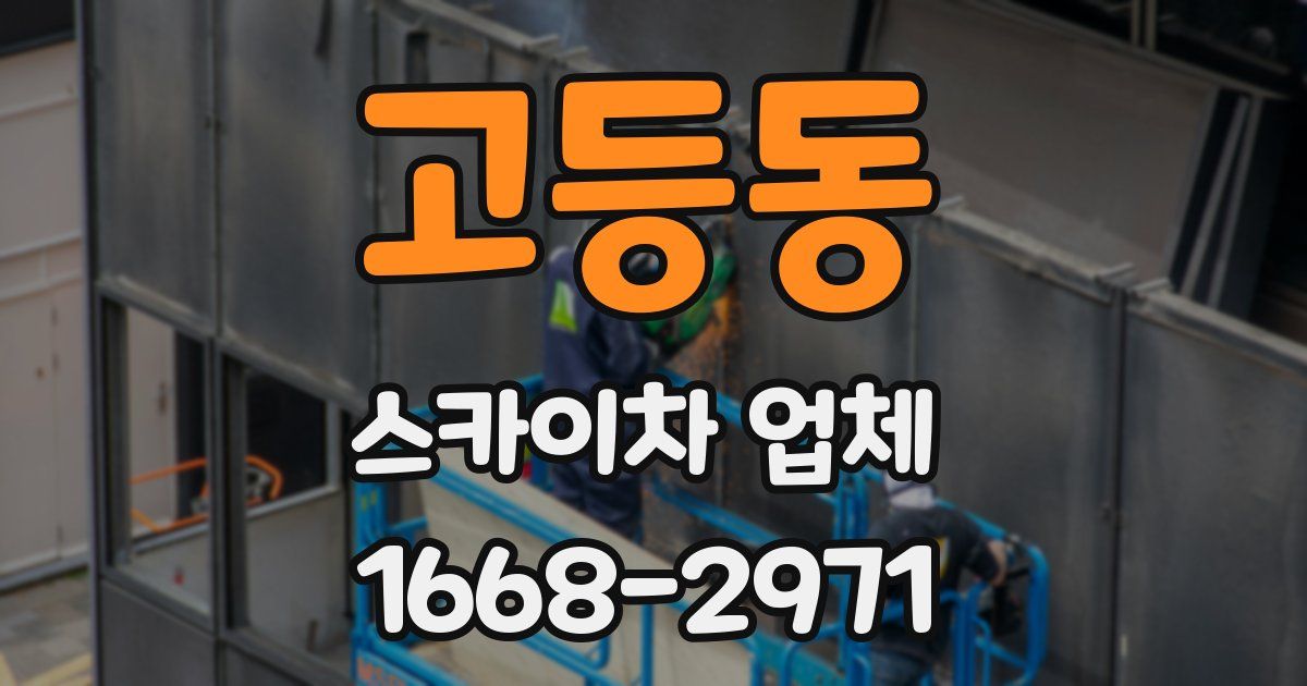 고등동 스카이차 업체
