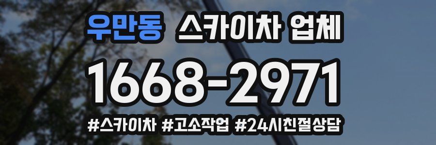 우만동 스카이차 업체