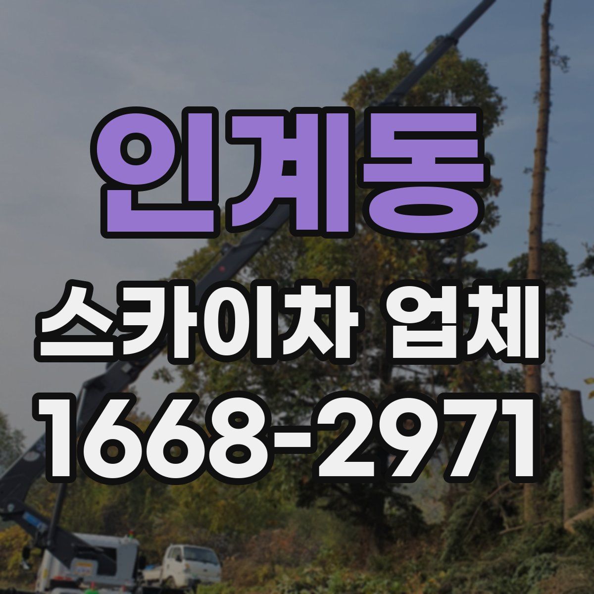 인계동 스카이차 업체