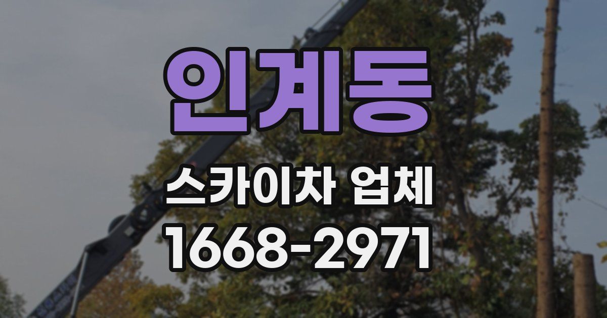 인계동 스카이차 업체
