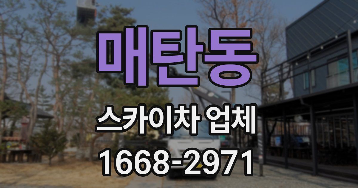매탄동 스카이차 업체
