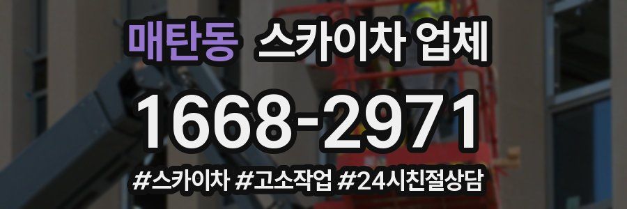 매탄동 스카이차 업체