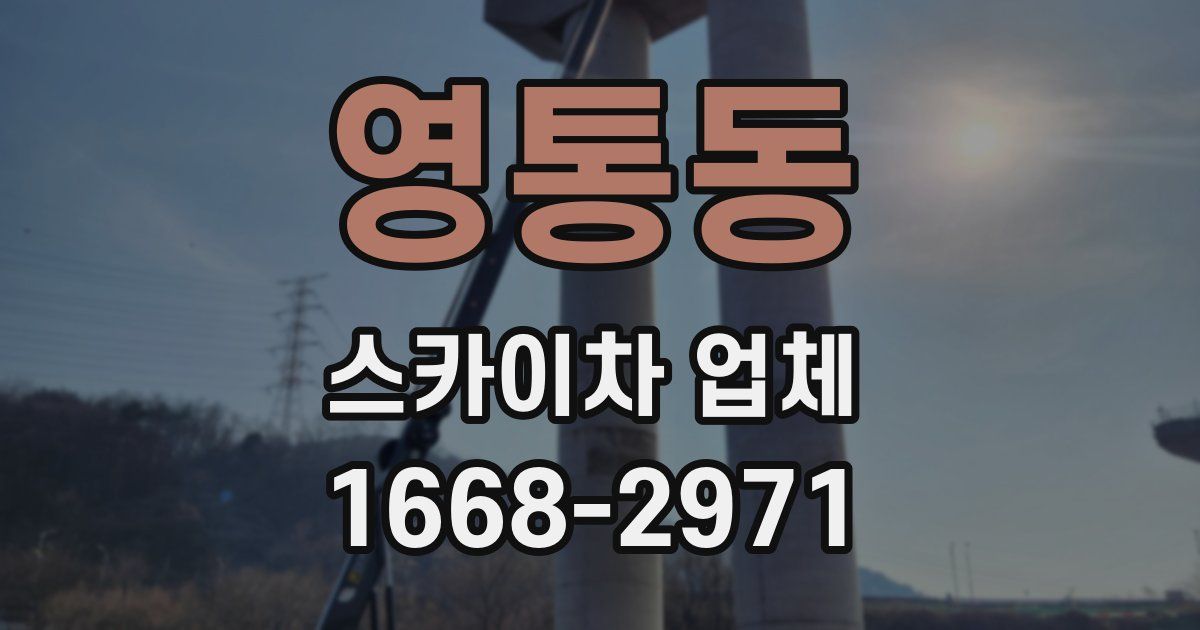 영통동 스카이차 업체