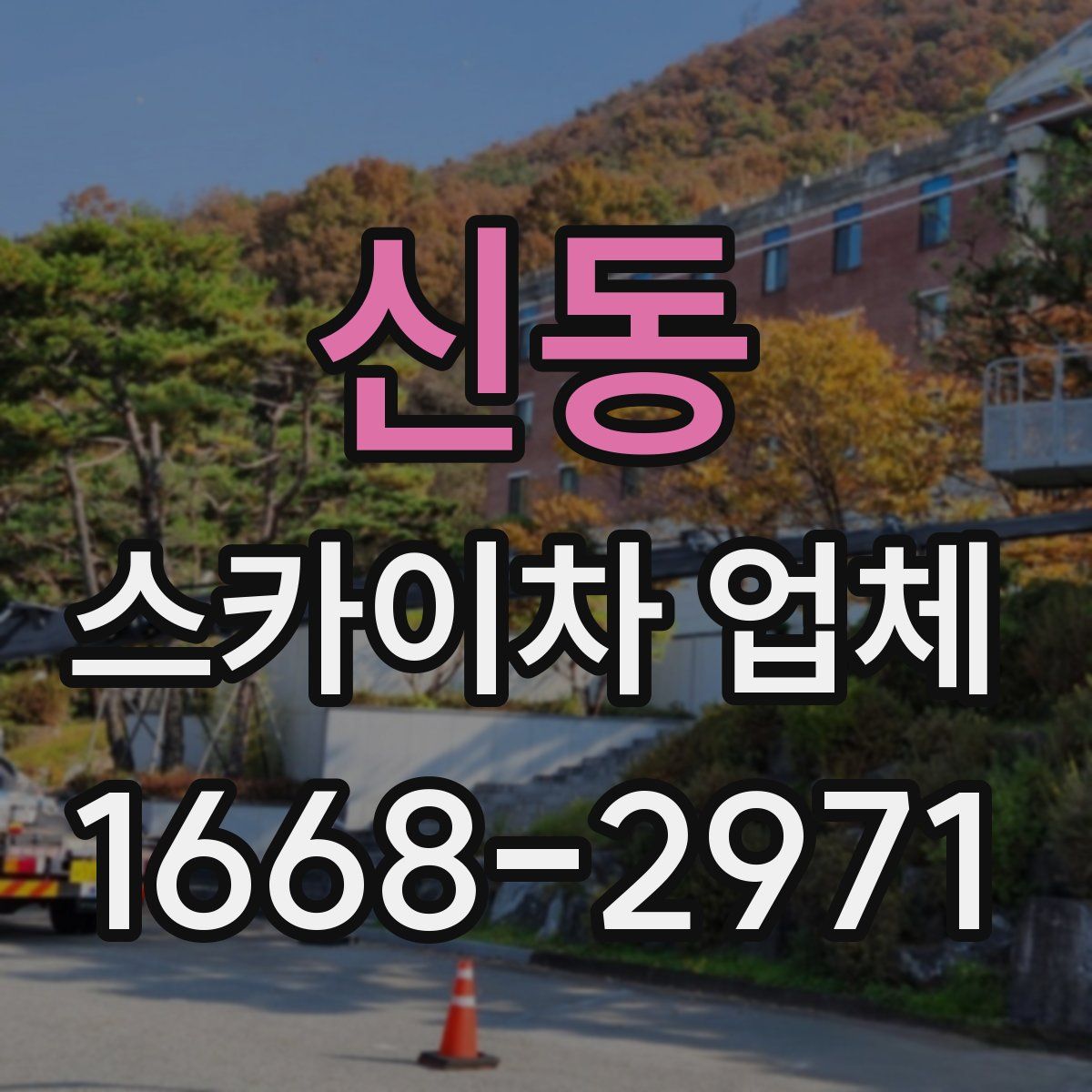 신동 스카이차 업체