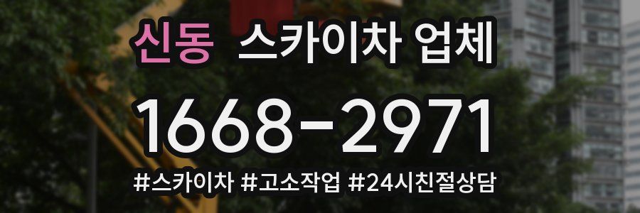 신동 스카이차 업체