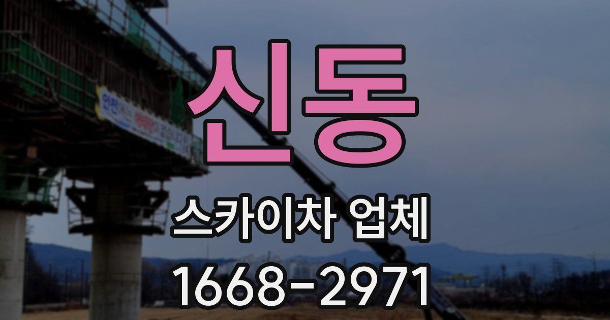 신동 스카이차 업체