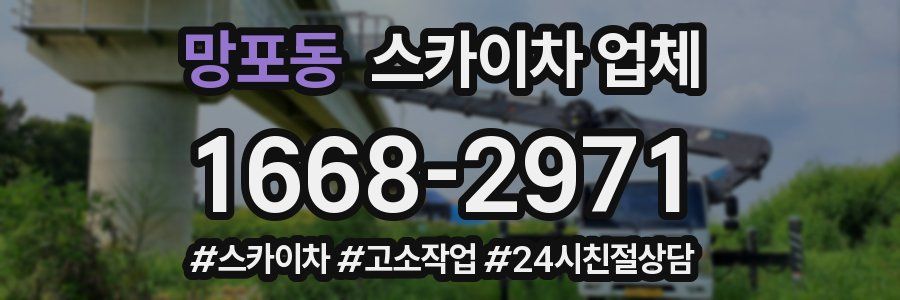 망포동 스카이차 업체