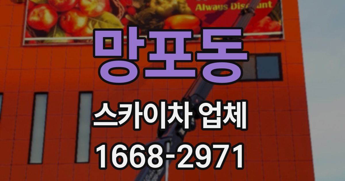 망포동 스카이차 업체
