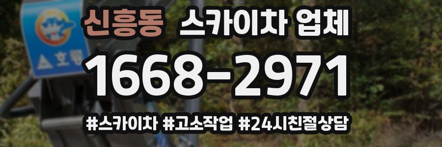 신흥동 스카이차 업체