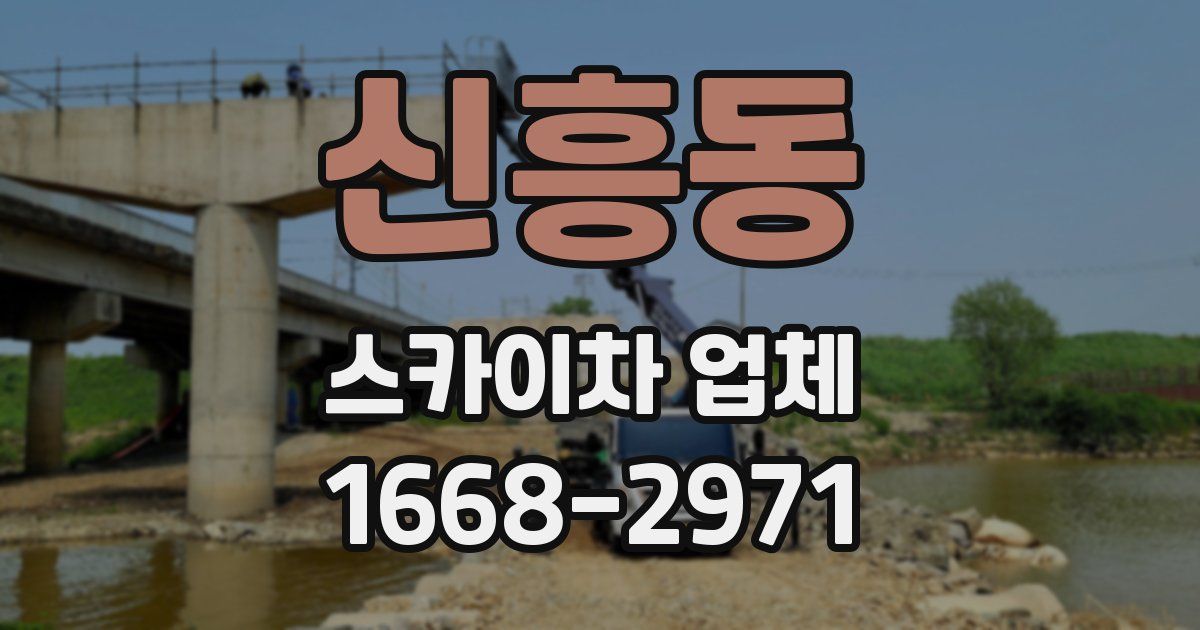 신흥동 스카이차 업체