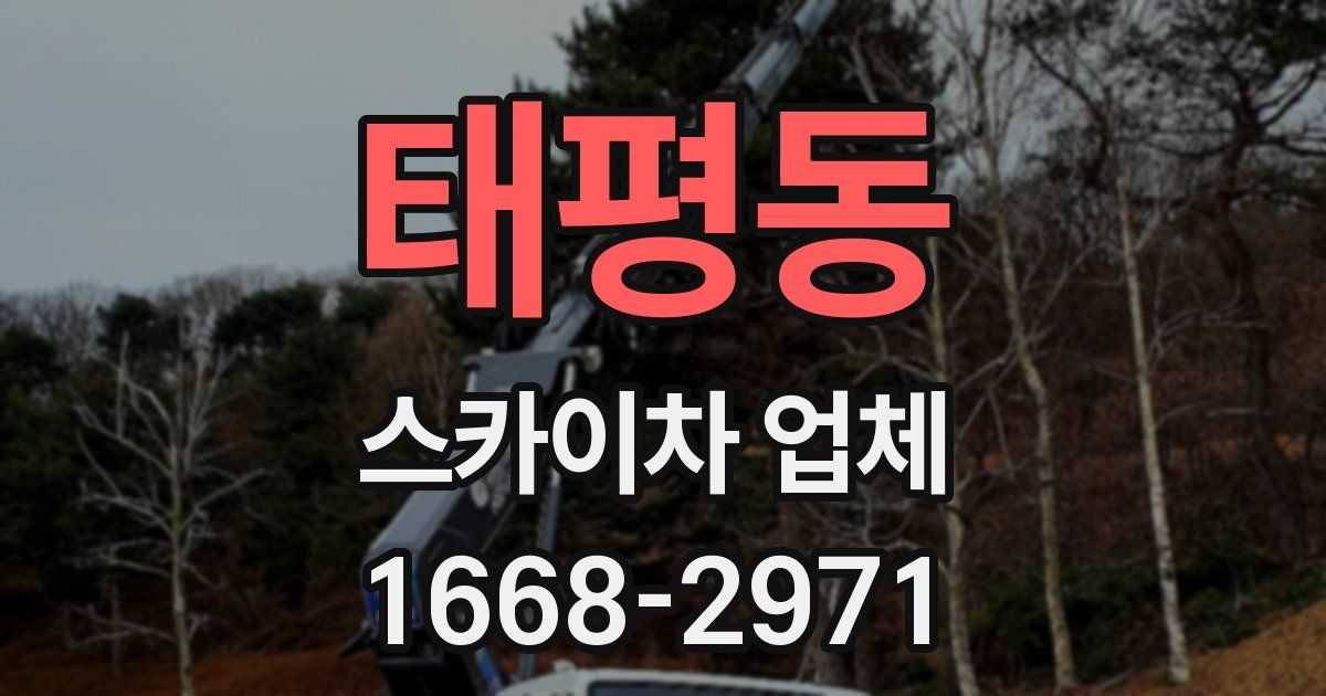 태평동 스카이차 업체