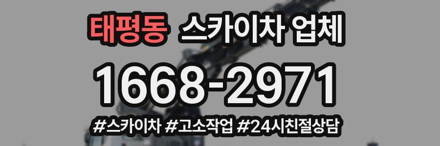 태평동 스카이차 업체