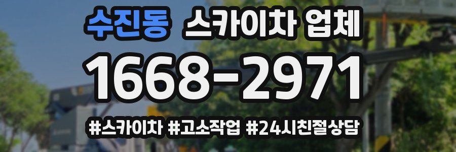 수진동 스카이차 업체