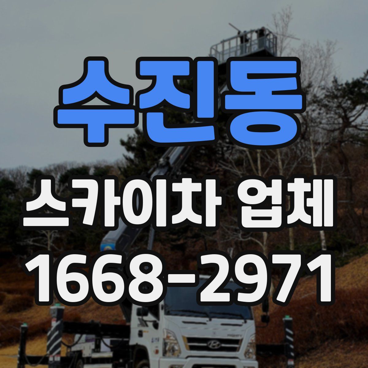 수진동 스카이차 업체