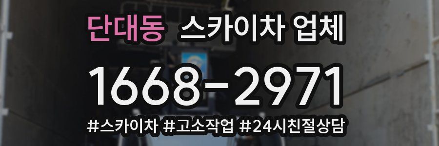 단대동 스카이차 업체