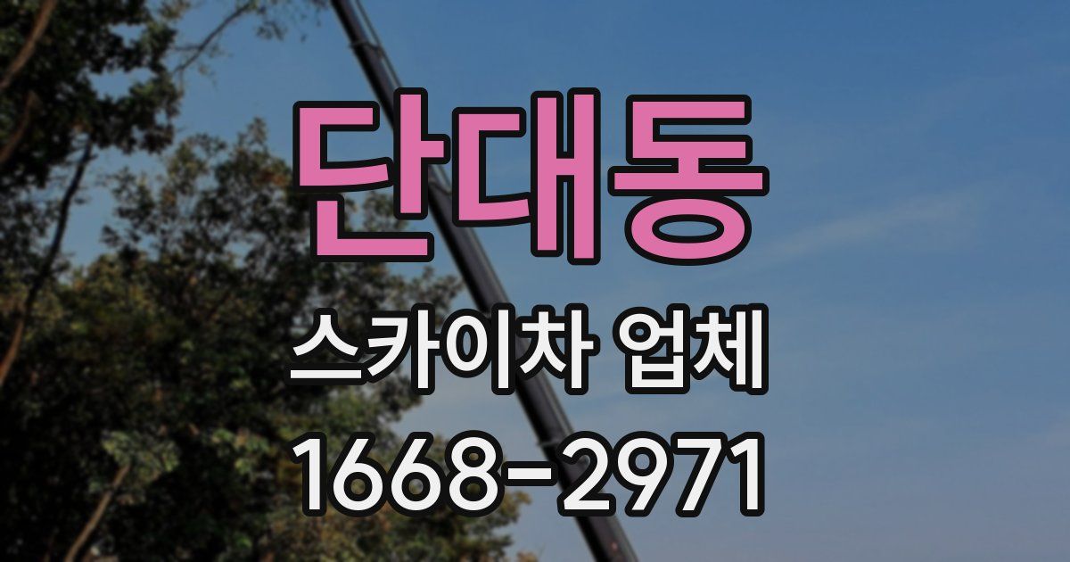 단대동 스카이차 업체