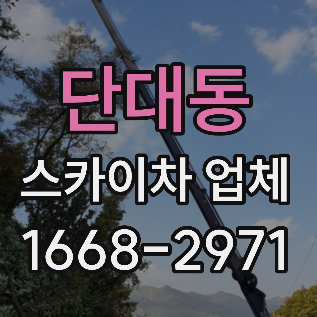 단대동 스카이차 업체